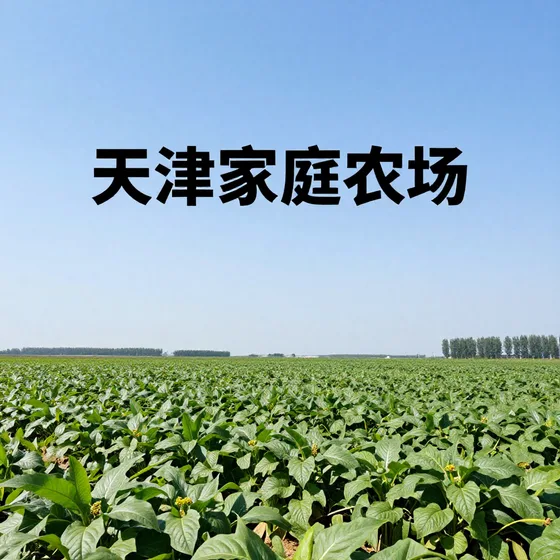 淮安保温材料